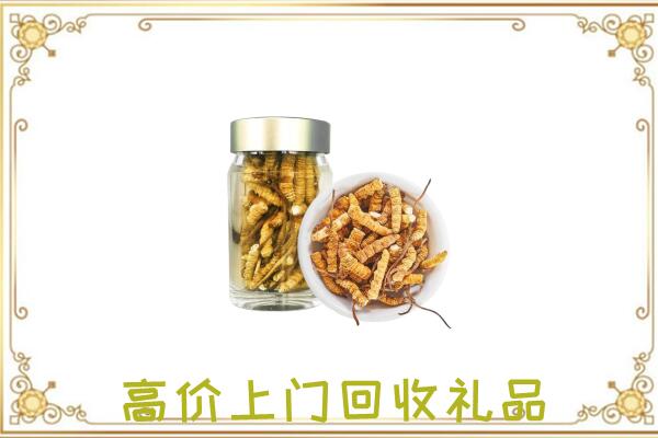 道县区周边回收虫草